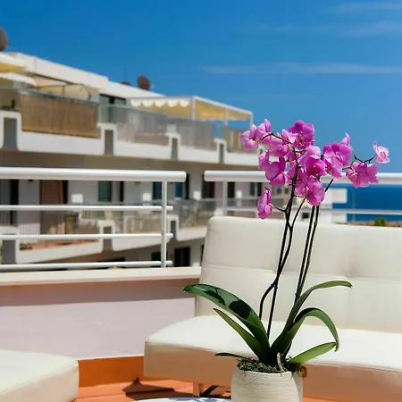 Otel S'alamera & 2*
